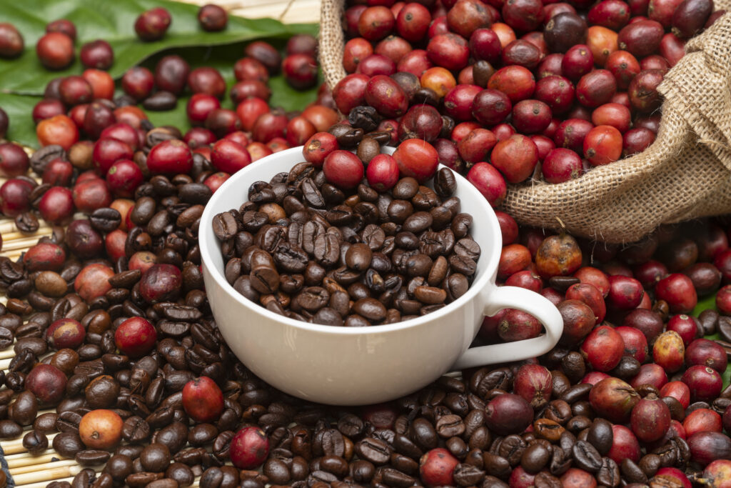 Fresh Roasted Wholesale Coffee