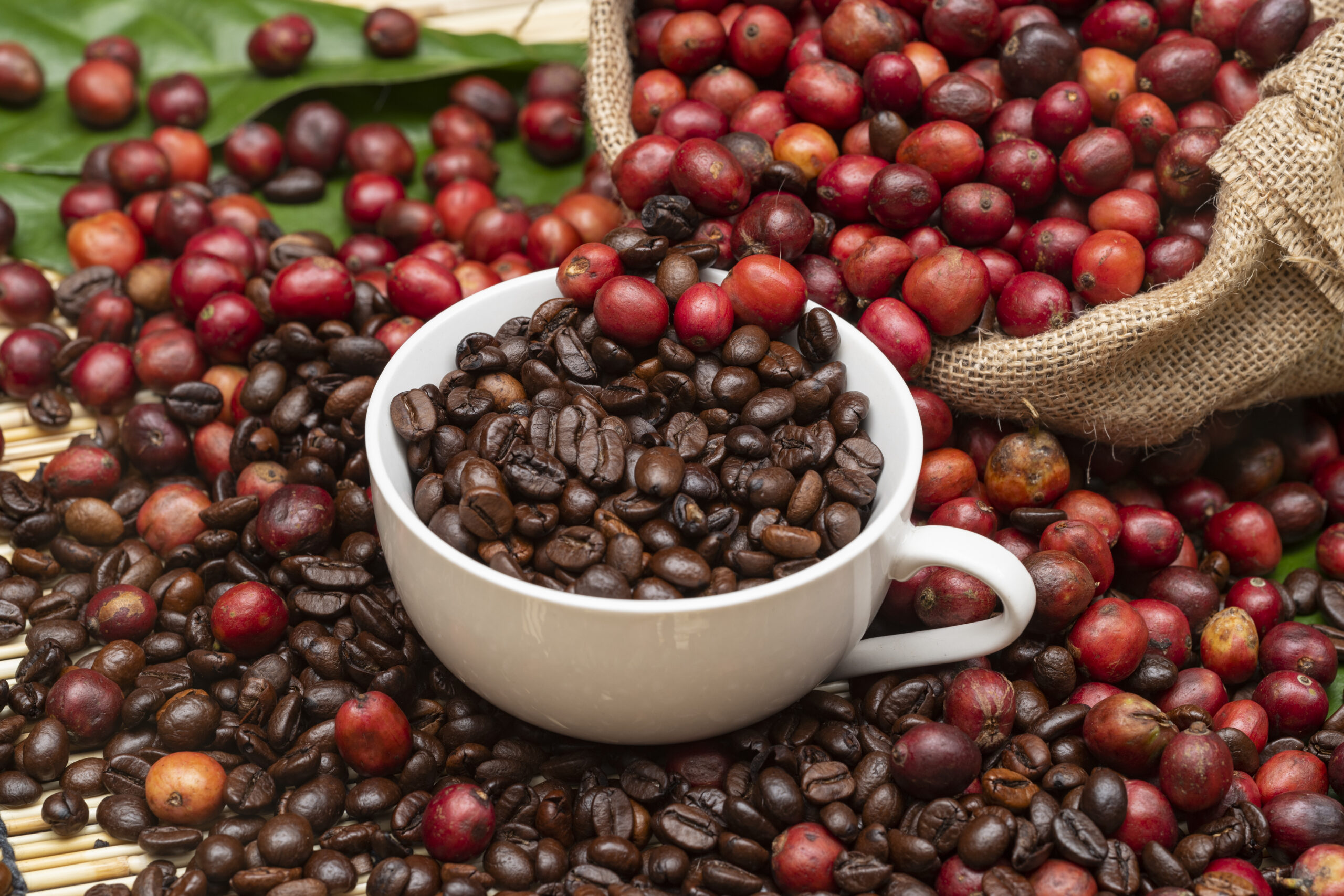 Wholesale Coffee Solutions for Austin Cafes & Restaurants