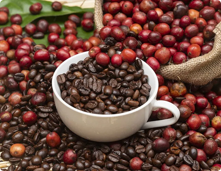 Coffee Beans