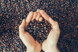 artisan coffee beans online