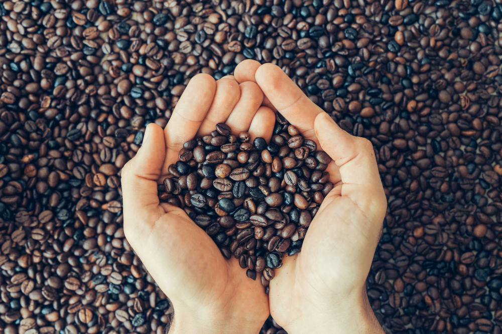 artisan coffee beans online