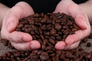 fresh-roasted coffee delivered