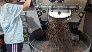 Freshly roasted beans going into the cooling tray at the Armadillo roastery
